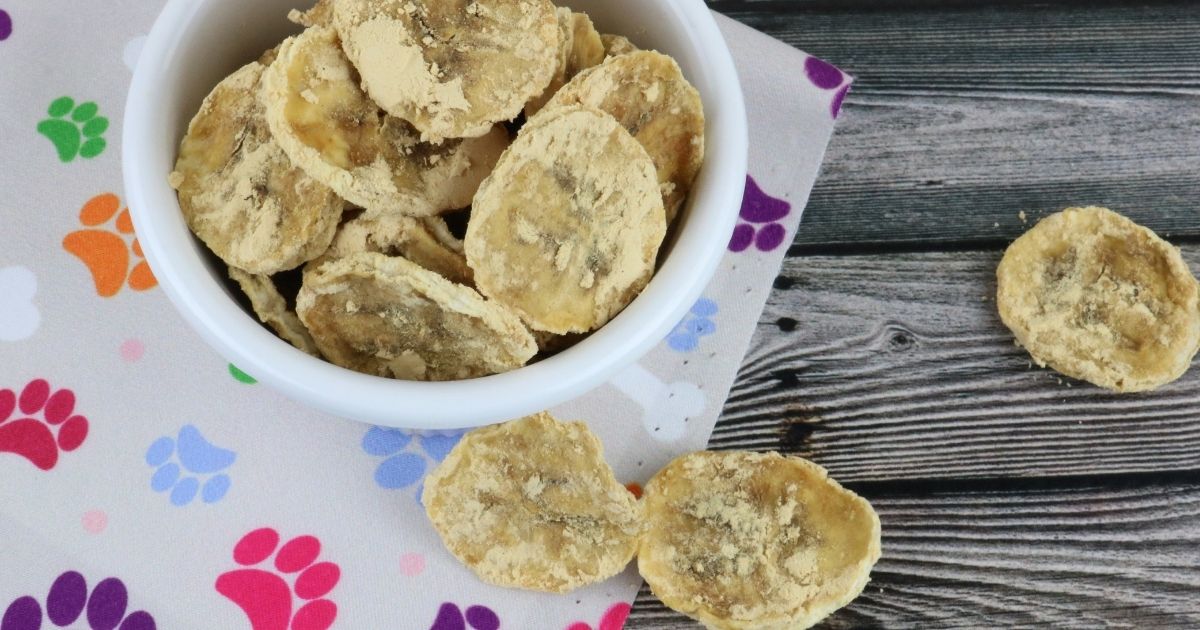 Dehydrated Peanut Butter Banana Chips For Dogs | Dog Mom Chef