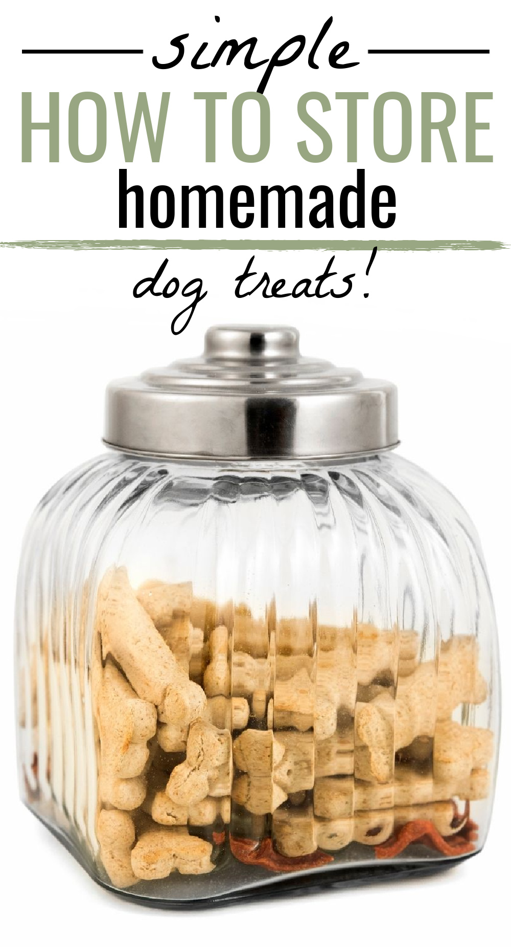 How to Store Homemade Dog Treats Dog Mom Chef
