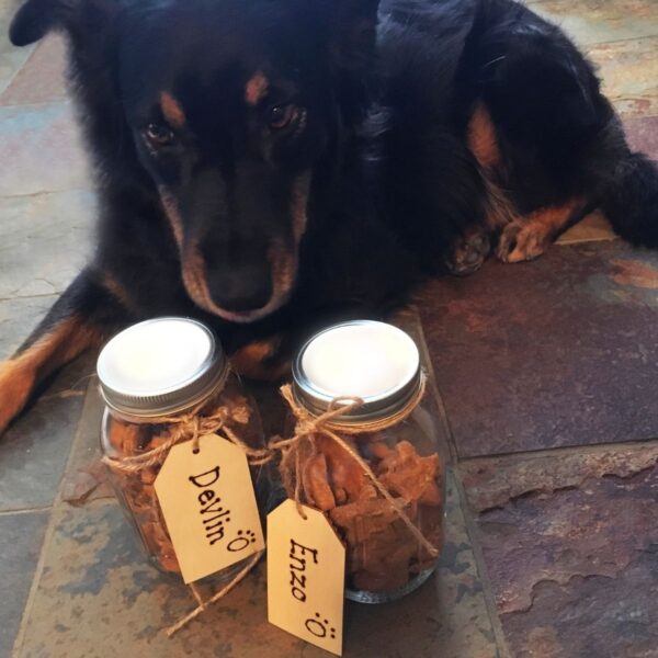 How to Store Homemade Dog Treats Dog Mom Chef