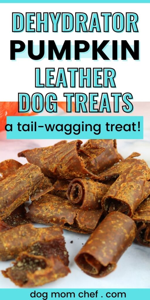 pumpkin leather for dog treats PIN