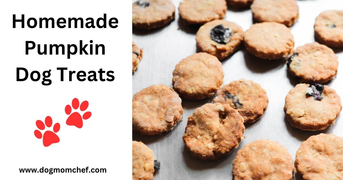 Visual Reference: Homemade Pumpkin Dog Treats Recipe
