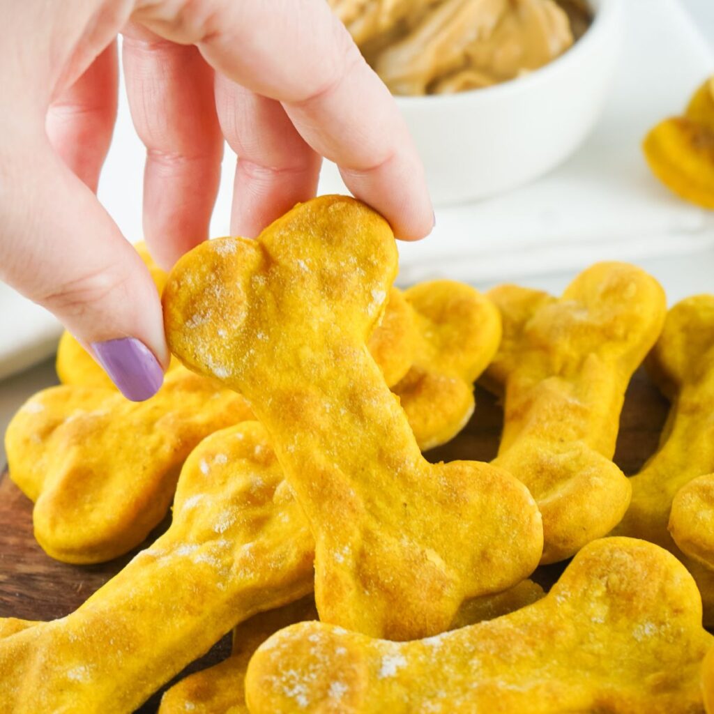 How to Store Homemade Dog Treats - Dog Mom Chef